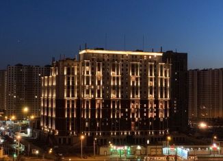 Квартира в аренду студия, 26 м2, Санкт-Петербург, улица Дыбенко, муниципальный округ Невский
