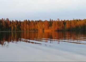 Дом в аренду, 50 м2, посёлок Верхнее Волозеро, Озёрная улица, 5А