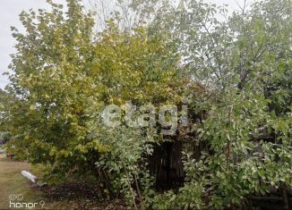 Продажа земельного участка, 10.3 сот., деревня Байрак, Летняя улица, 40