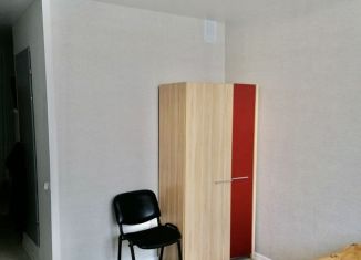Квартира в аренду студия, 27 м2, Лобня, улица Жирохова, 5, ЖК Победа