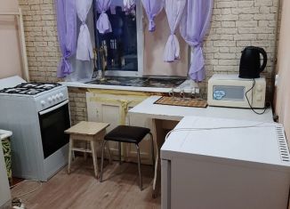 Сдается в аренду однокомнатная квартира, 30 м2, Нижегородская область, проспект Чкалова, 51
