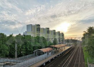 Сдается в аренду однокомнатная квартира, 36 м2, Раменское, Высоковольтная улица, 21, ЖК Парк на Фабричной