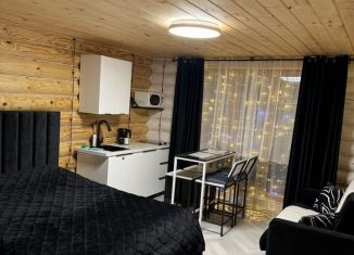 Сдается дом, 35 м2, рабочий поселок Листвянка, улица Чапаева, 60