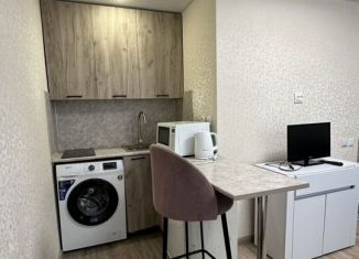 Аренда квартиры студии, 15.5 м2, Татарстан, улица Амирхана Еники, 3