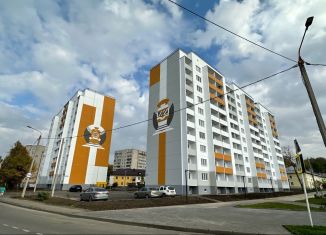 2-ком. квартира на продажу, 61 м2, Смоленская область, Центральная улица, 6А