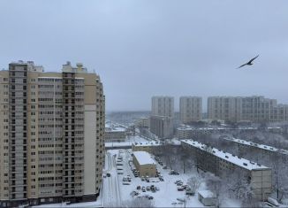 Сдаю в аренду 1-комнатную квартиру, 39.7 м2, Санкт-Петербург, Ново-Александровская улица, 14, Невский район