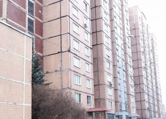 Продажа квартиры студии, 13.5 м2, Москва, 2-я Вольская улица, 20, район Некрасовка