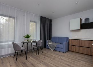 Продажа 1-комнатной квартиры, 35.2 м2, Санкт-Петербург, Челябинская улица, 37, муниципальный округ Ржевка