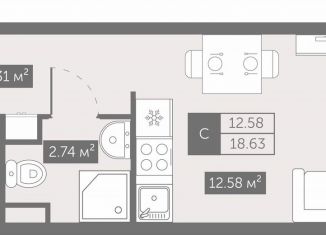 Продам квартиру студию, 18.6 м2, Санкт-Петербург, метро Проспект Большевиков