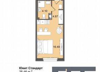 Продажа квартиры студии, 25.5 м2, Санкт-Петербург, муниципальный округ Гагаринское, Витебский проспект, 99к1