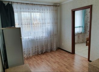 2-ком. квартира в аренду, 50 м2, Бузулук, 2-й микрорайон, 30