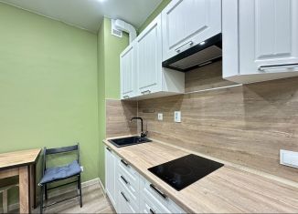 Сдается квартира студия, 19 м2, Санкт-Петербург, Планерная улица, 95к1, муниципальный округ Юнтолово