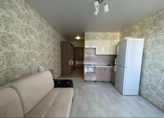 Продается квартира студия, 28 м2, село Засечное, Фонтанная улица, 11