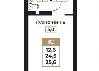 Продается квартира студия, 25.6 м2, Пермский край, улица Милиционера Власова, 8