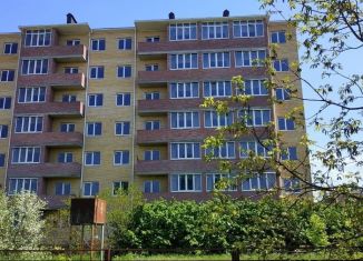 Продам квартиру студию, 25 м2, посёлок Российский, улица Шевкунова, 5