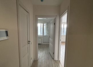 Продаю 1-комнатную квартиру, 31.5 м2, Мурино, проспект Авиаторов Балтики, 29к2, ЖК Авиатор