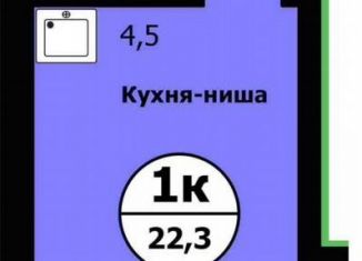 Продажа квартиры студии, 22.3 м2, Красноярск, улица Лесников, 41Б, Свердловский район