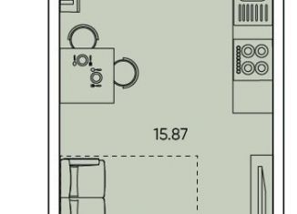 Продам квартиру студию, 24 м2, Санкт-Петербург, Планерная улица, 87к1, муниципальный округ Юнтолово