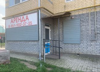 Продам помещение свободного назначения, 92 м2, Павлово, улица Чапаева, 32