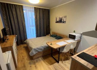 Продается квартира студия, 22.1 м2, посёлок Парголово, Толубеевский проезд, 8к2