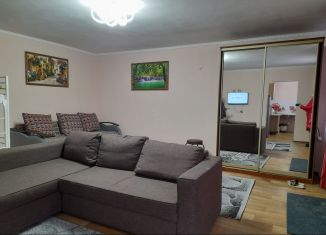 Квартира в аренду студия, 50 м2, село Кушнаренково, Октябрьская улица, 75