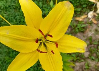 Дом на продажу, 20 м2, Новокузнецк