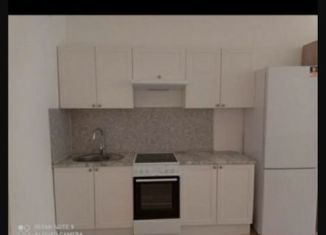 Квартира на продажу студия, 29 м2, Мурино, улица Шувалова, ЖК Цвета радуги