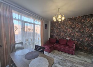 Продается квартира студия, 24.4 м2, село Черешня, Владимировская улица, 141