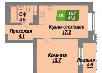 Продается однокомнатная квартира, 41.5 м2, Новосибирск, метро Заельцовская