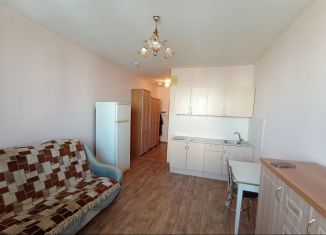 Продается квартира студия, 27 м2, село Засечное, Светлая улица, 7