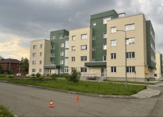 Продается 1-ком. квартира, 48.3 м2, деревня Болтино, улица Баздырева, 3, ЖК Болтино