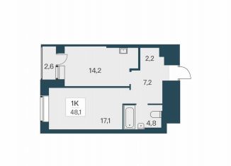 Продается 1-комнатная квартира, 48.1 м2, Новосибирск, метро Заельцовская