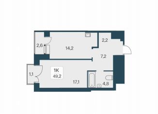 1-ком. квартира на продажу, 49.2 м2, Новосибирск, метро Сибирская