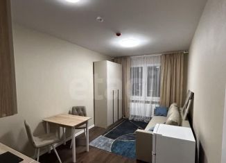 Сдам в аренду квартиру студию, 20 м2, Санкт-Петербург, Муринская дорога, 31к3, метро Академическая