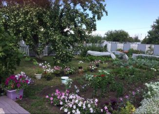 Продажа дачи, 20 м2, СДТ Пригородное, 11-я линия