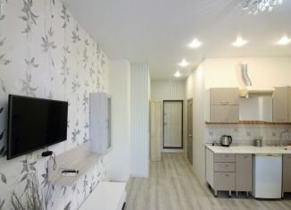 Квартира на продажу студия, 26 м2, Сочи, Лечебный переулок, 1А, микрорайон Старая Мацеста