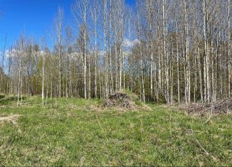 Продается участок, 15 сот., село Заозерье, Новоручейная улица