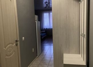 Сдача в аренду квартиры студии, 35 м2, Ростов-на-Дону, улица Пацаева, 16/1, ЖК Звёздный