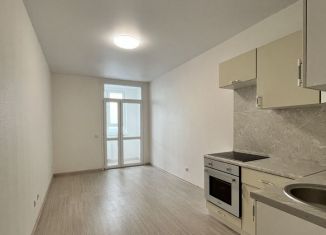 Квартира в аренду студия, 21.6 м2, деревня Анкудиновка, Русская улица, 3