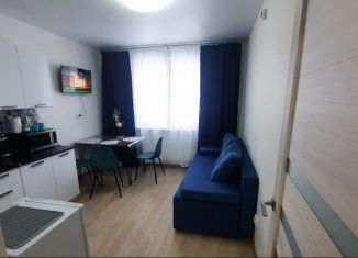 1-комнатная квартира в аренду, 35 м2, Нижегородская область, проспект Героев Донбасса, 1