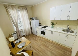 Аренда 1-комнатной квартиры, 42 м2, Новосибирск, Сибирская улица, 42, метро Красный проспект