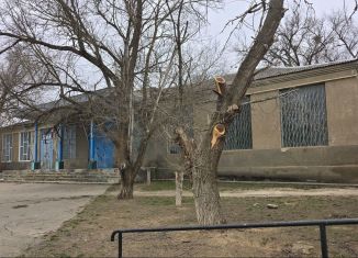 Торговая площадь на продажу, 536.3 м2, село Спасское, Красная улица, 155