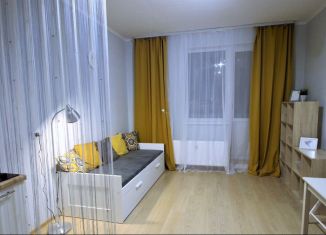 Сдам в аренду квартиру студию, 27 м2, Мурино, Охтинская аллея, 14