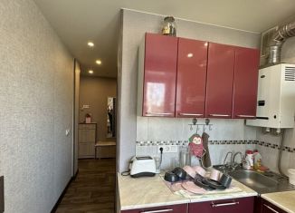 Продажа двухкомнатной квартиры, 47.3 м2, Нижний Новгород, Климовская улица, 10, метро Чкаловская