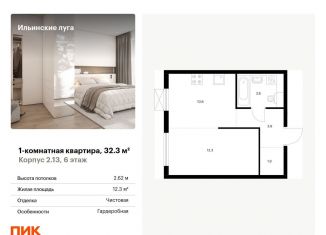 Продажа однокомнатной квартиры, 32.3 м2, Московская область, жилой комплекс Ильинские Луга, к2.13