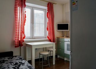 Сдается 1-ком. квартира, 30 м2, посёлок Парголово, Заречная улица, 44к1