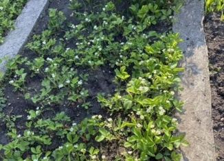 Продам земельный участок, 4 сот., ТСН СНТ Медик, улица Крымской Весны