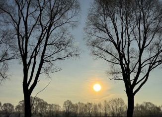 Продаю земельный участок, 10 сот., село Сапуголи, Коллективная улица