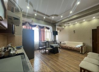 Сдаю 1-ком. квартиру, 45 м2, село Орёл-Изумруд, Банановая улица, 13/10