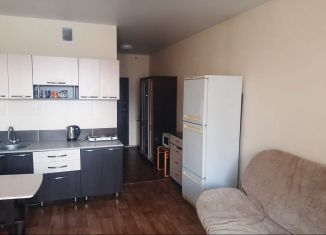 Сдается квартира студия, 26 м2, Новосибирск, Первомайская улица, 230